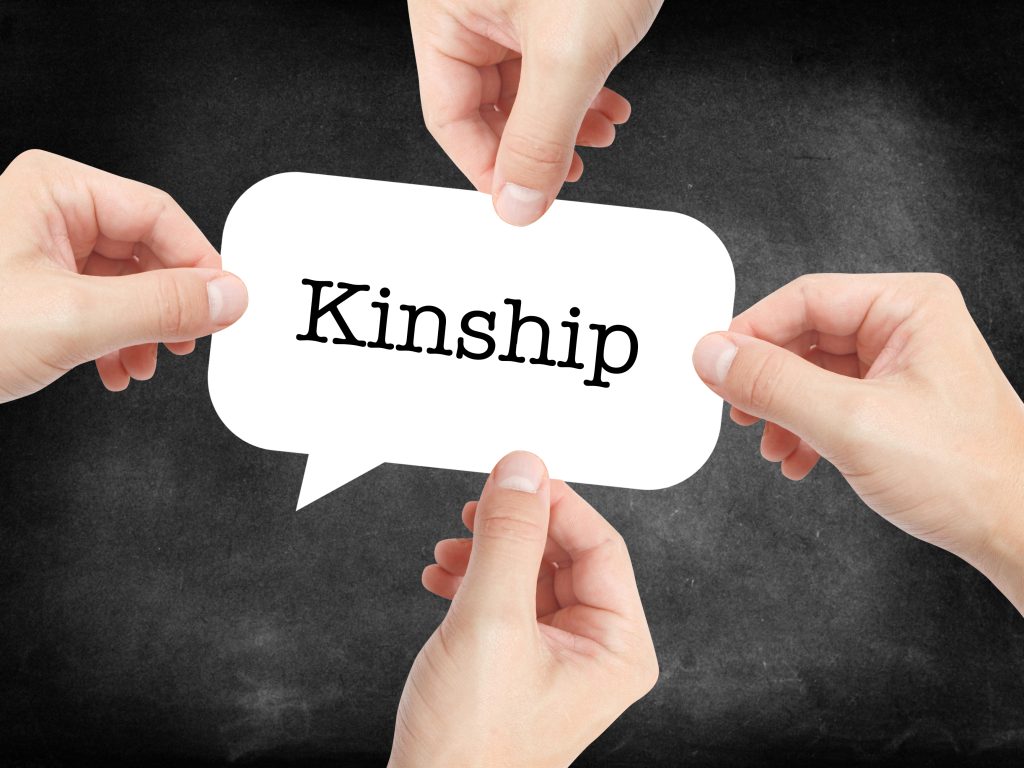 It Is Important To Recognize That Kinship Is Always A Part Of Surrogate 